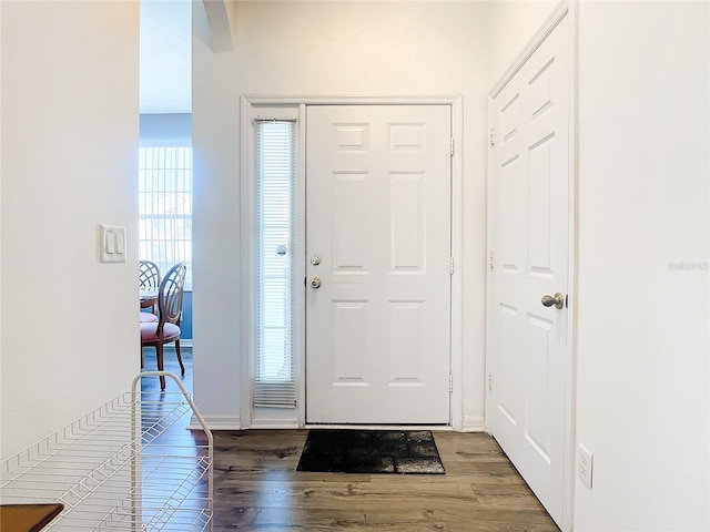 foyer featuring wood-type flooring