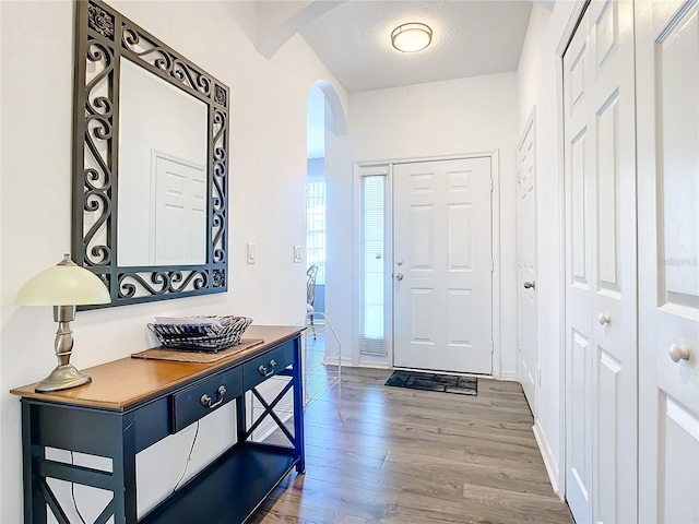 foyer entrance featuring wood-type flooring