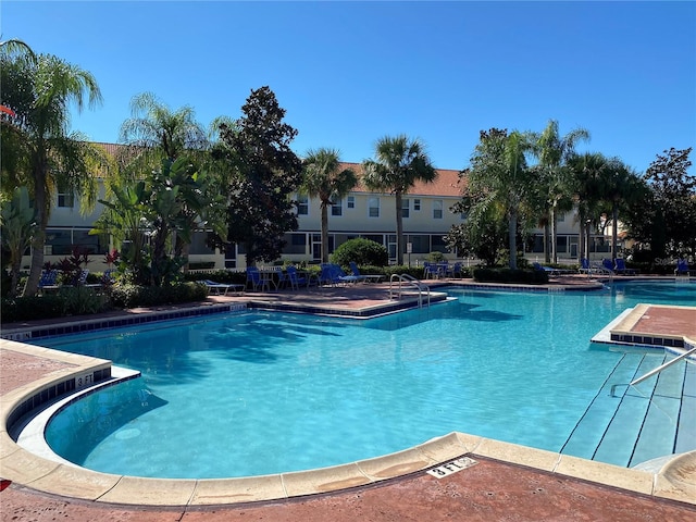 view of swimming pool