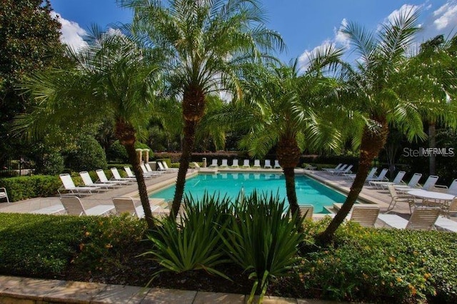 view of pool featuring a patio