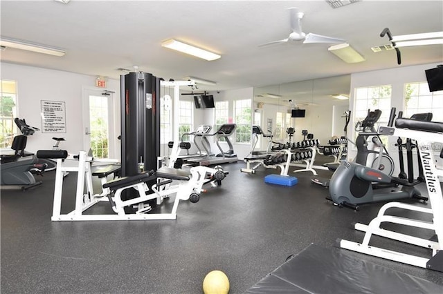 workout area featuring a wealth of natural light