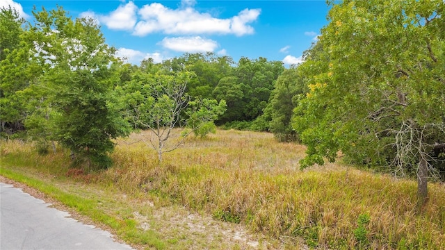 Bahia Rd, Ocala FL, 34472 land for sale