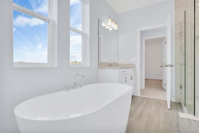 bathroom featuring vanity and separate shower and tub