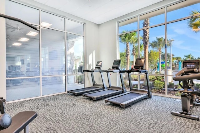 gym with ceiling fan, expansive windows, and carpet floors