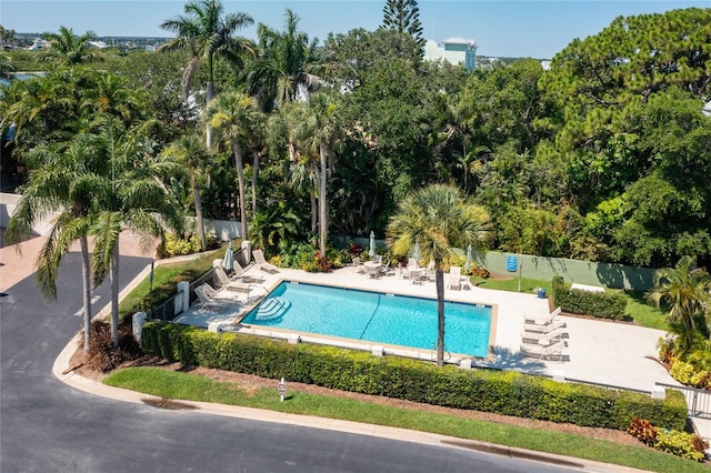 view of pool featuring a patio area