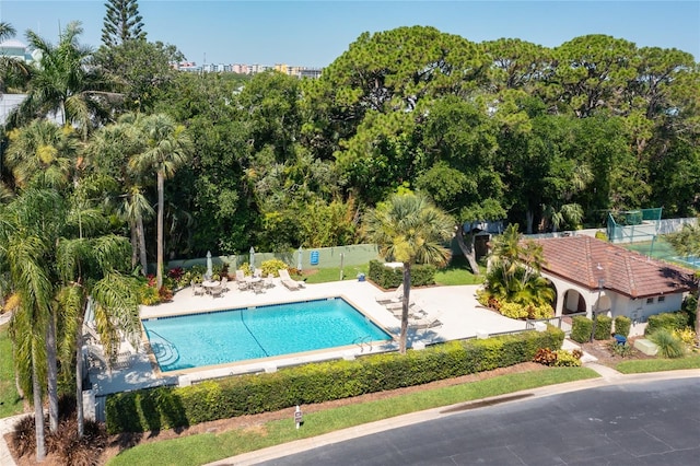 view of swimming pool with a patio