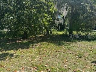 Listing photo 2 for Cr 439d, Lake Panasoffkee FL 33538