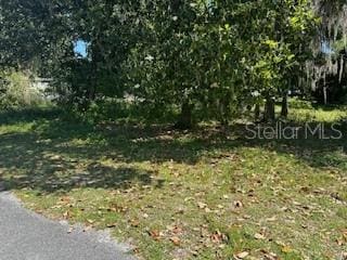 Listing photo 3 for Cr 439d, Lake Panasoffkee FL 33538