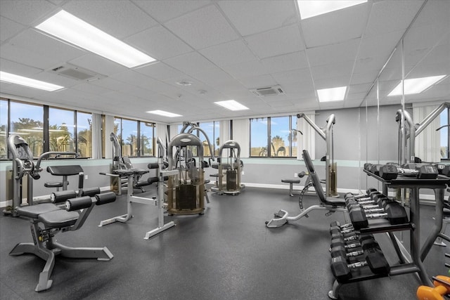 exercise room featuring a wealth of natural light and a drop ceiling