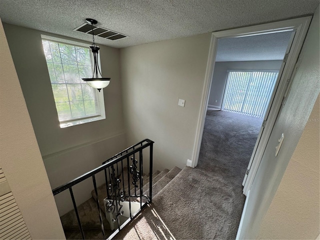 stairway featuring carpet flooring and a textured ceiling