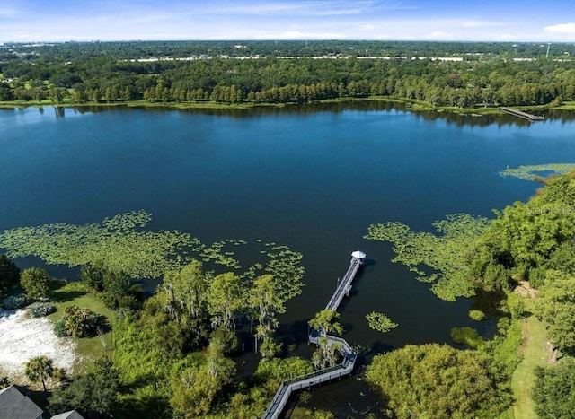 birds eye view of property featuring a water view