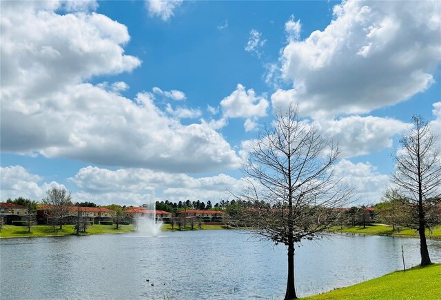 view of water feature