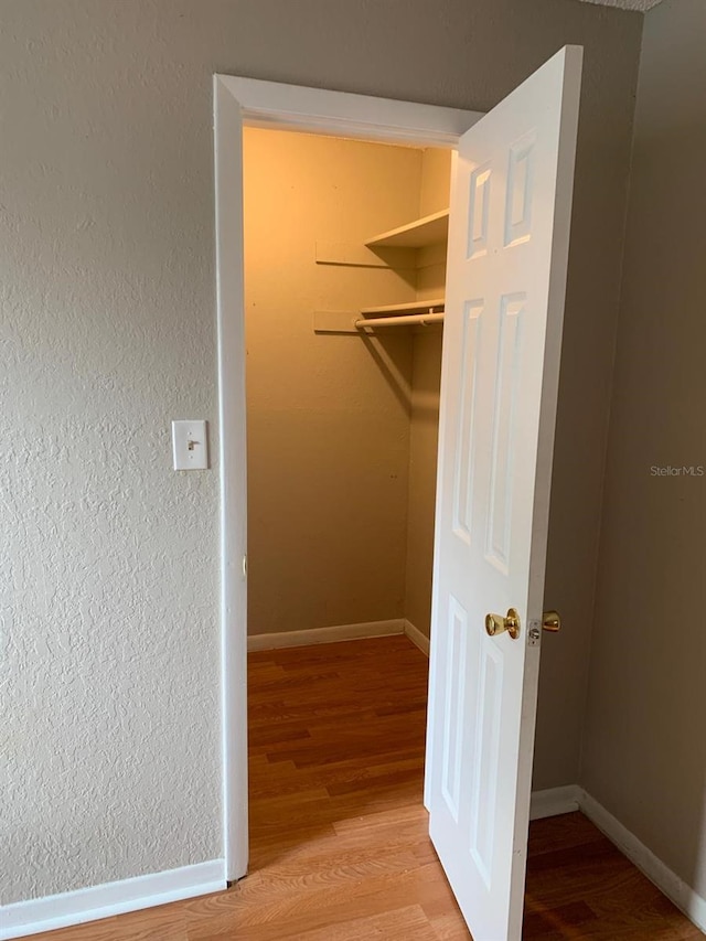 walk in closet featuring light hardwood / wood-style floors