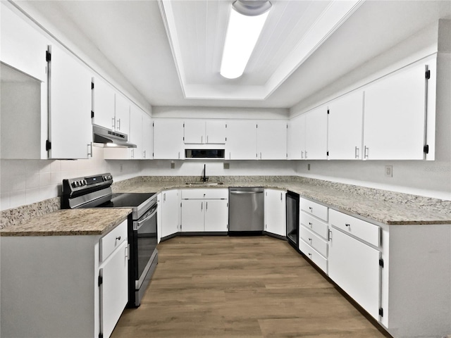 kitchen with a raised ceiling, appliances with stainless steel finishes, a sink, wood finished floors, and under cabinet range hood