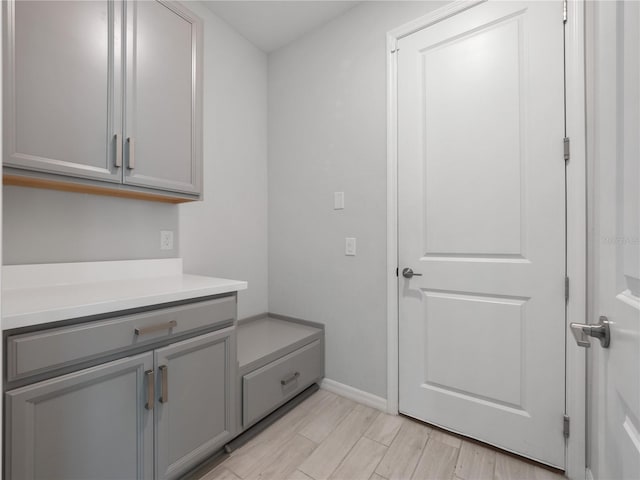 clothes washing area featuring light hardwood / wood-style flooring