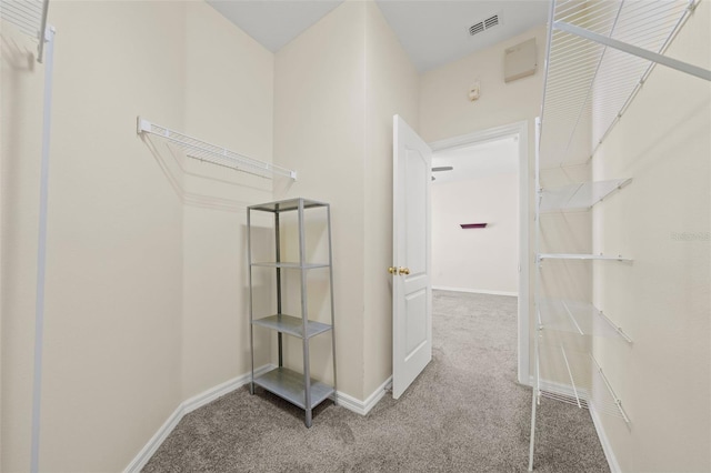 spacious closet with carpet floors