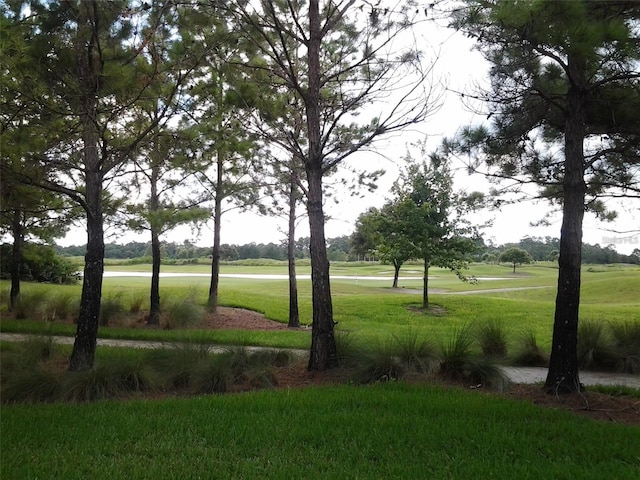 view of property's community with a yard