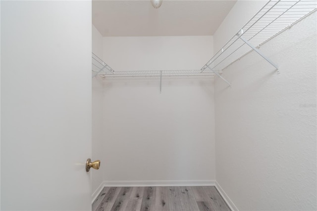 walk in closet with light hardwood / wood-style floors