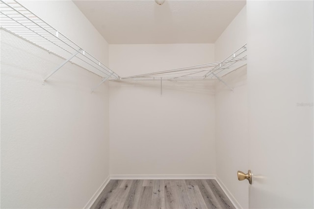 spacious closet featuring light hardwood / wood-style floors