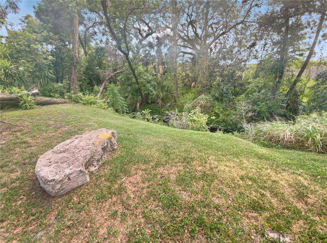 232 Riverbend Dr Unit 201, Altamonte Springs, FL 32714 - photo 7