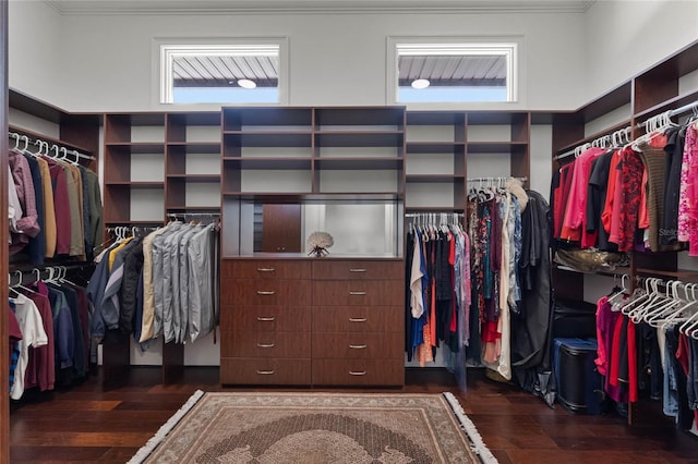 spacious closet with dark hardwood / wood-style flooring