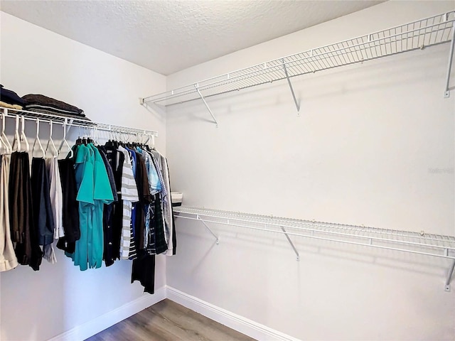 1508 Caterpillar St, Saint Cloud, FL 34771 - photo 30