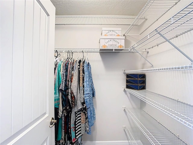 view of spacious closet