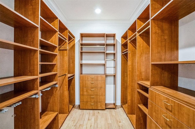 walk in closet with light wood-type flooring