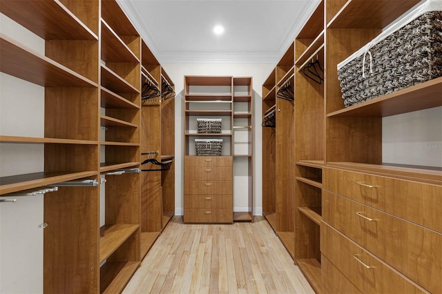 spacious closet with light wood-style floors