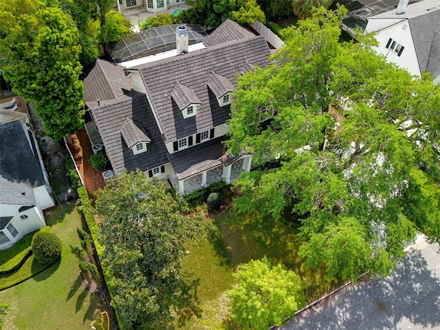 bird's eye view