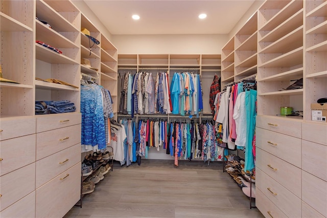 spacious closet with wood finished floors