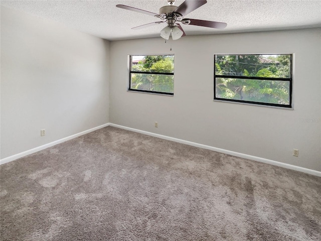 spare room featuring carpet, ceiling fan, and a textured ceiling