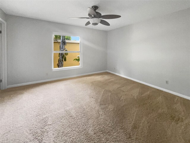 3421 S Carter St Unit C, Tampa, FL 33629 - photo 9