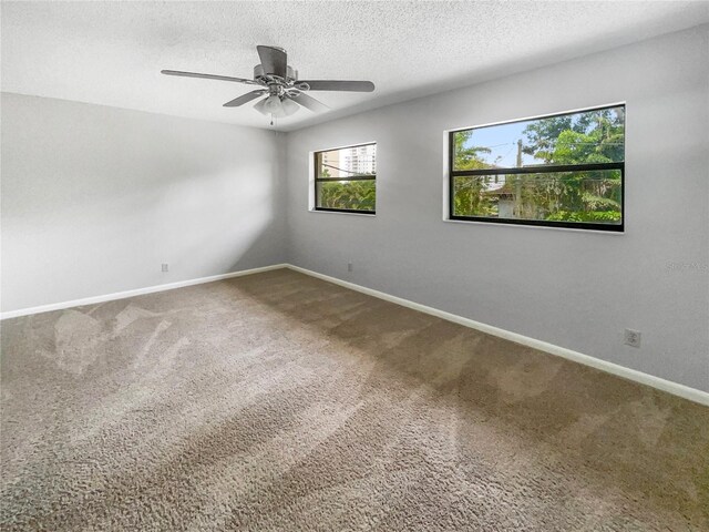 3421 S Carter St Unit C, Tampa, FL 33629 - photo 3