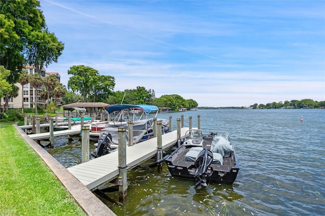 dock area with a water view