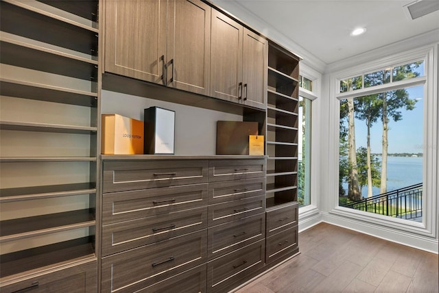 walk in closet with dark wood-style flooring