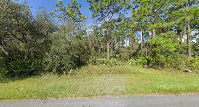 4541 San Lorenzo Dr, Sebring FL, 33872 land for sale