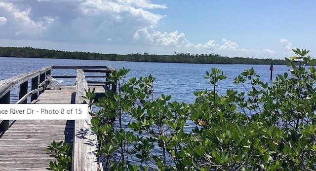 dock area with a water view