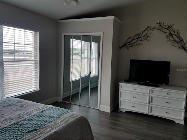 bedroom with dark hardwood / wood-style flooring, vaulted ceiling, and a closet