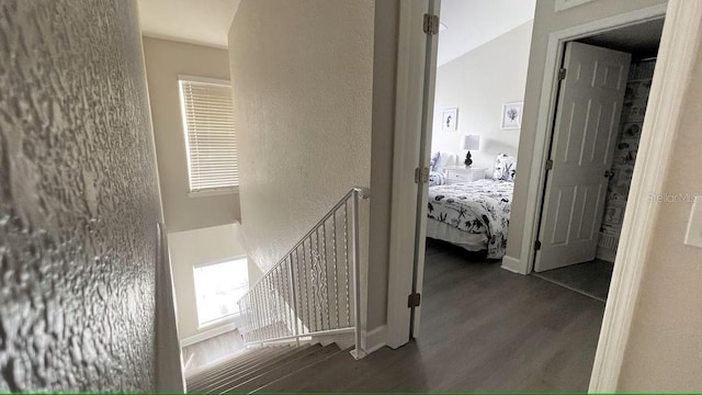 hallway featuring dark hardwood / wood-style flooring and lofted ceiling