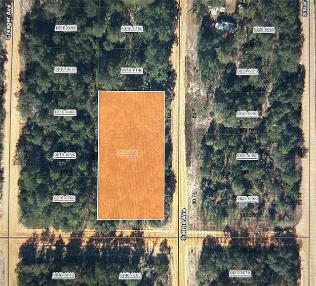 00 Selma Ave, Interlachen FL, 32148 land for sale