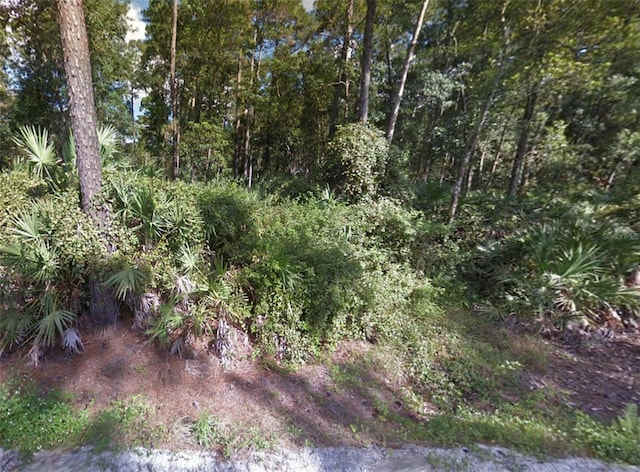 1465 E Pkwy, Deland FL, 32724 land for sale