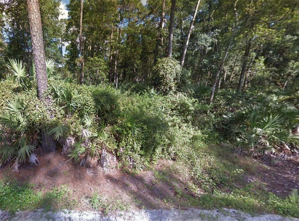 1465 E Pkwy, Deland, FL 32724 - photo 1