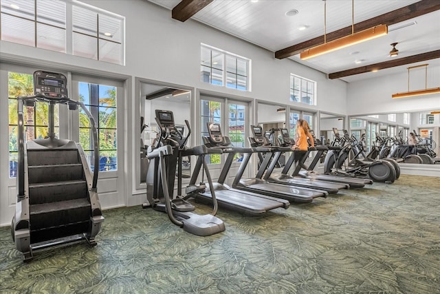 workout area featuring carpet flooring and a wealth of natural light