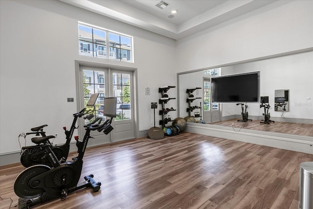 workout area featuring wood-type flooring and a high ceiling