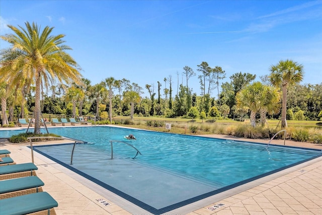 view of swimming pool featuring a patio