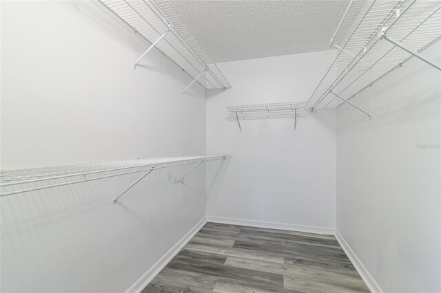 spacious closet with hardwood / wood-style floors