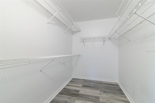17775 SE 101st Ct, Summerfield, FL 34491 - photo 13
