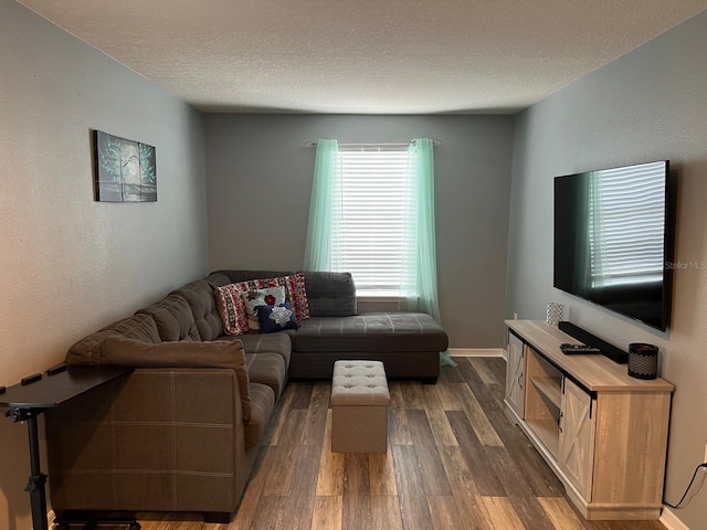 living room featuring a textured ceiling and dark wood-type flooring