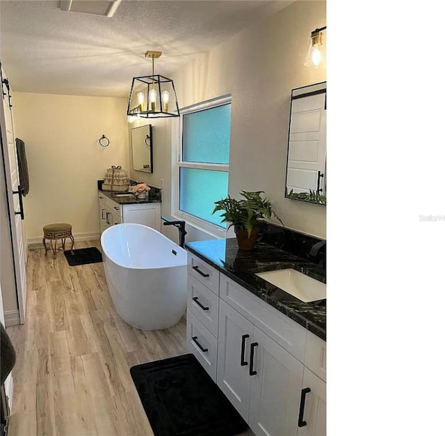 bathroom featuring a freestanding tub, two vanities, wood finished floors, and a sink